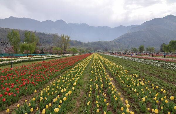 Jammu and Kashmir