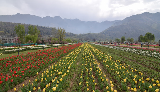 Jammu and Kashmir