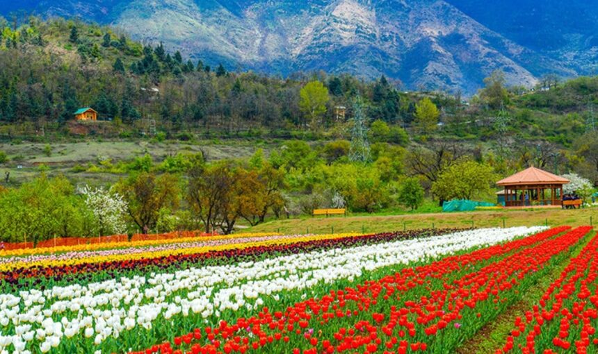 Best Time to Visit Kashmir